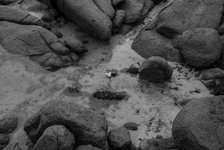 L1000064-1