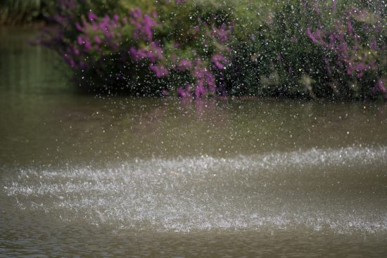 Water