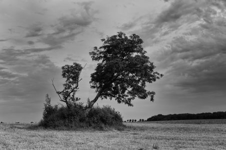 L1000026-Modifier-2-1