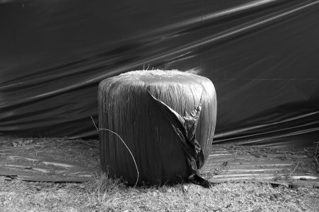 L1000914-2-1
