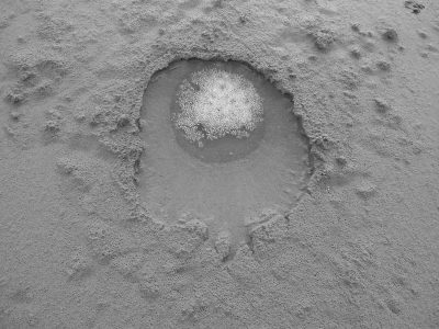 L1010663-1